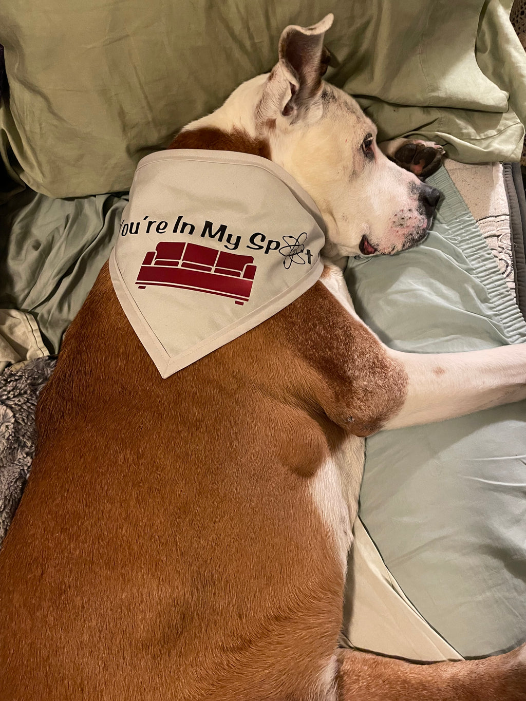 You’re In My Spot