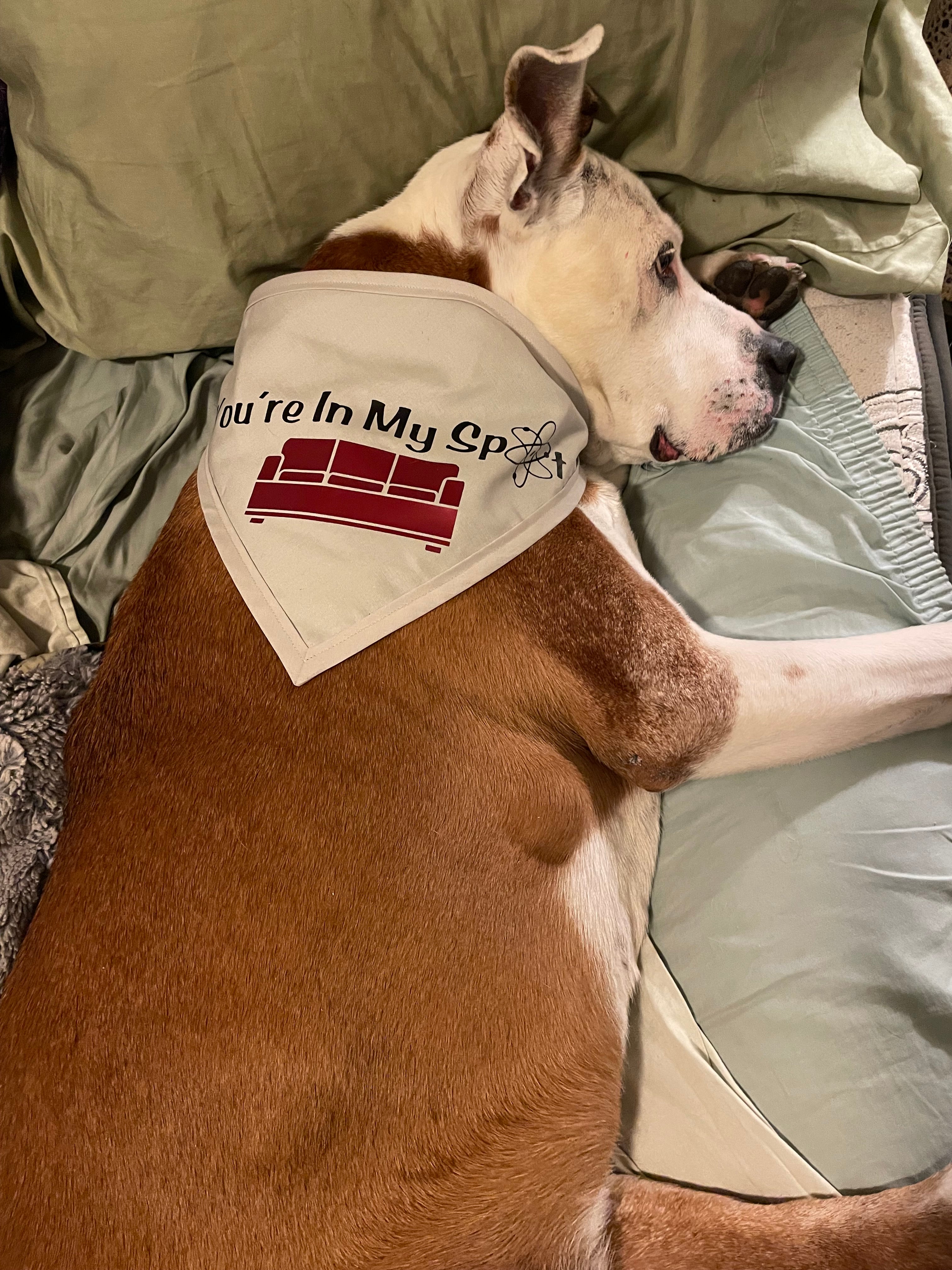 You’re In My Spot